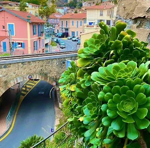 Cozy Lemon Menton